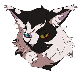 Nightwhisper Headshot